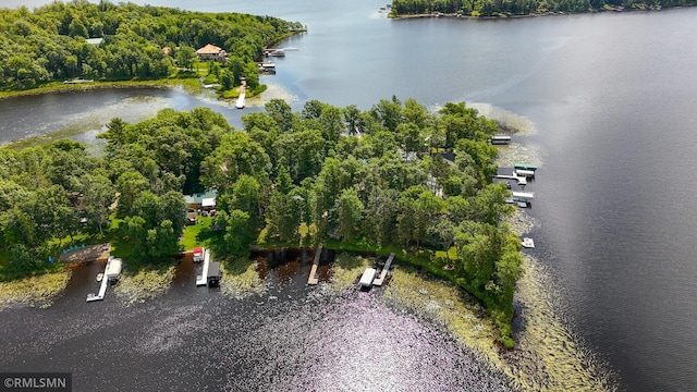 50323 214th Pl, Mcgregor, MN 55760 - photo 33