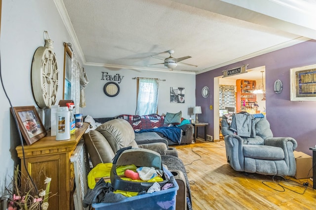 411 5th St, Montevideo, MN 56265 - photo 6