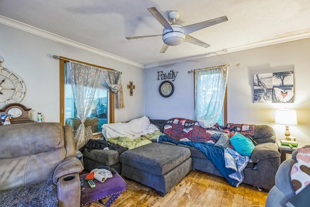 411 5th St, Montevideo, MN 56265 - photo 8