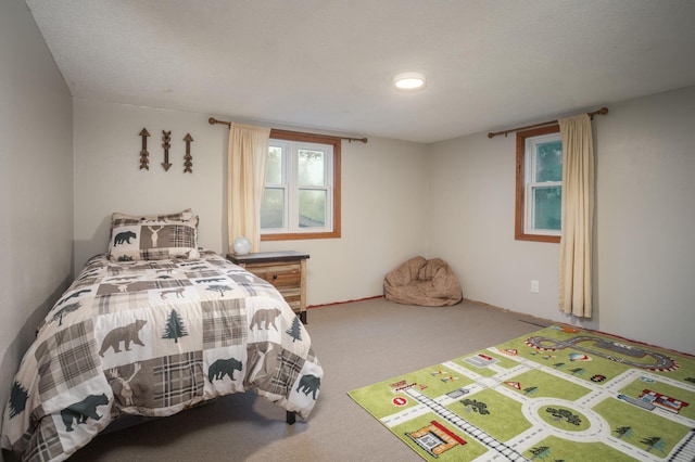 18485 110th St, Glenwood, MN 56334 - photo 7