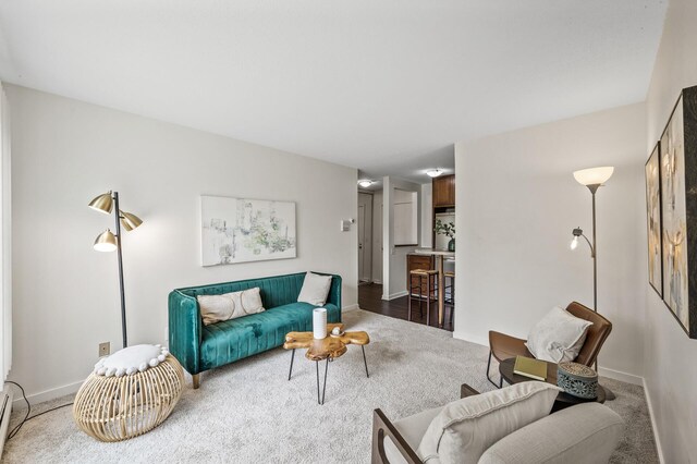 3729 Snelling Ave Unit 108, Minneapolis, MN 55406 - carpeted living area featuring baseboards and a baseboard heating unit