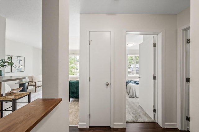 3729 Snelling Ave Unit 108, Minneapolis, MN 55406 - hall with dark wood finished floors