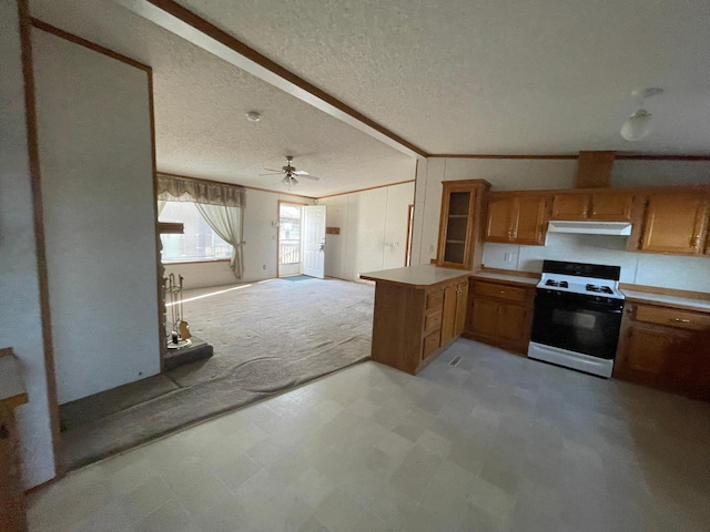 21344 County Road 11, Crosby, MN 56441 - kitchen with electric range, range hood, open floor plan, light flooring, and a peninsula