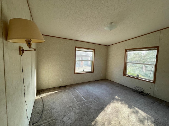 21344 County Road 11, Crosby, MN 56441 - empty room with a textured ceiling, carpet flooring, lofted ceiling, and crown molding