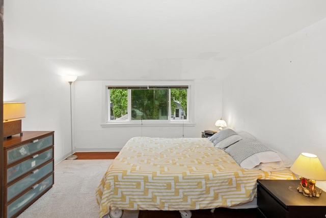 116 9th Ave NW, Rochester, MN 55901 - bedroom featuring carpet floors