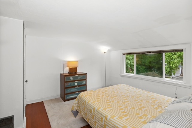 116 9th Ave NW, Rochester, MN 55901 - bedroom featuring wood finished floors and baseboards