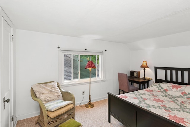 116 9th Ave NW, Rochester, MN 55901 - bedroom featuring vaulted ceiling and carpet