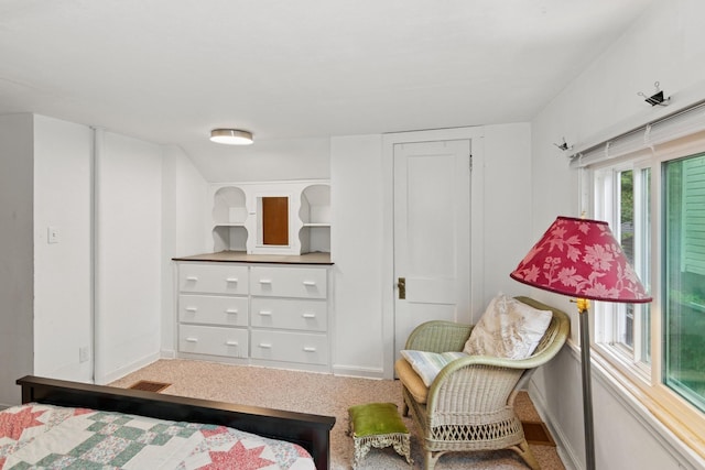 116 9th Ave NW, Rochester, MN 55901 - carpeted bedroom featuring baseboards