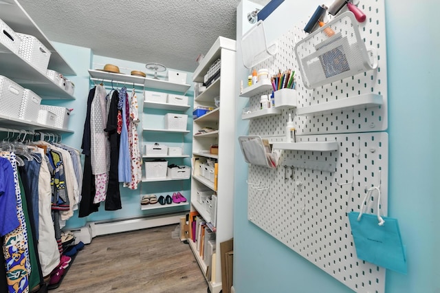 6615 Lake Shore Dr S Unit 317, Richfield, MN 55423 - walk in closet featuring wood finished floors and baseboard heating