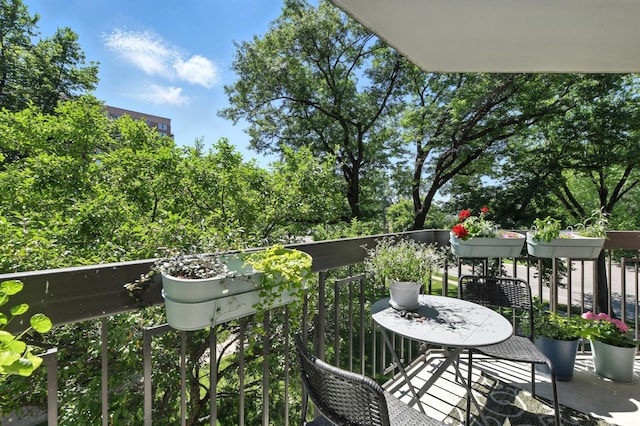 6615 Lake Shore Dr S Unit 317, Richfield, MN 55423 - view of balcony