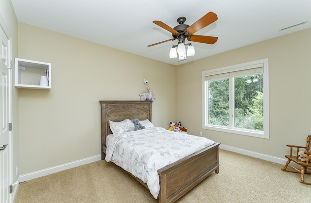 2663 Braeburn Ln SW, Rochester, MN 55902 - photo 39