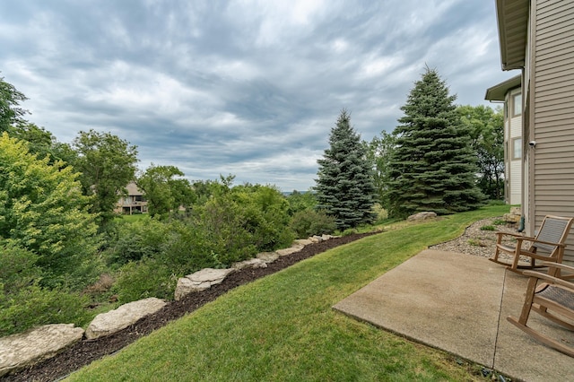 2663 Braeburn Ln SW, Rochester, MN 55902 - photo 49
