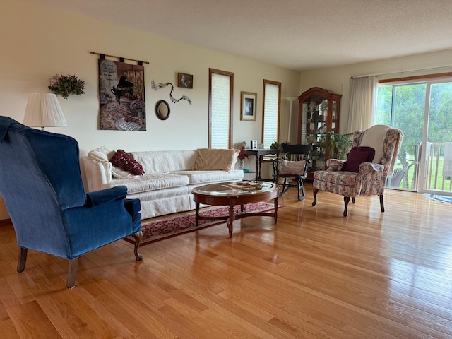 31044 Acorn Lake Rd, Frazee, MN 56544 - living room with light wood-type flooring