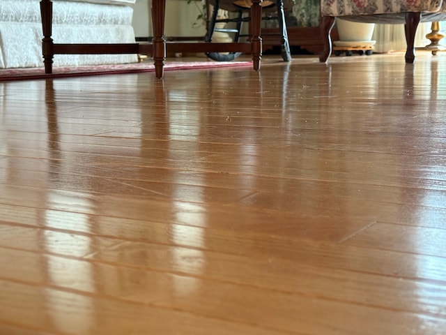 31044 Acorn Lake Rd, Frazee, MN 56544 - detailed view of wood finished floors