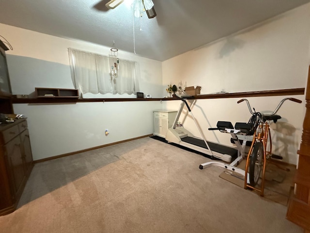 31044 Acorn Lake Rd, Frazee, MN 56544 - exercise area with carpet and a ceiling fan