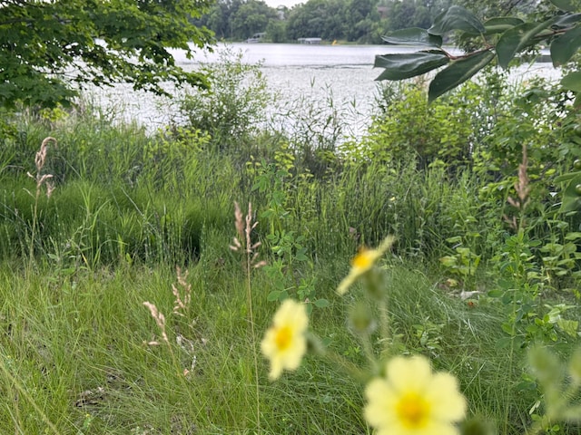 31044 Acorn Lake Rd, Frazee, MN 56544 - water view