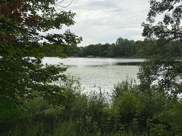 31044 Acorn Lake Rd, Frazee, MN 56544 - water view with a heavily wooded area