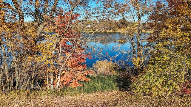 31044 Acorn Lake Rd, Frazee, MN 56544 - water view featuring a heavily wooded area