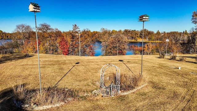 31044 Acorn Lake Rd, Frazee, MN 56544 - view of property's community featuring a water view and a yard