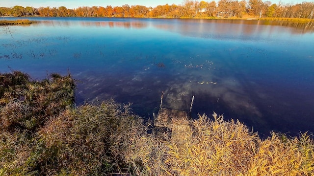 31044 Acorn Lake Rd, Frazee, MN 56544 - water view featuring a forest