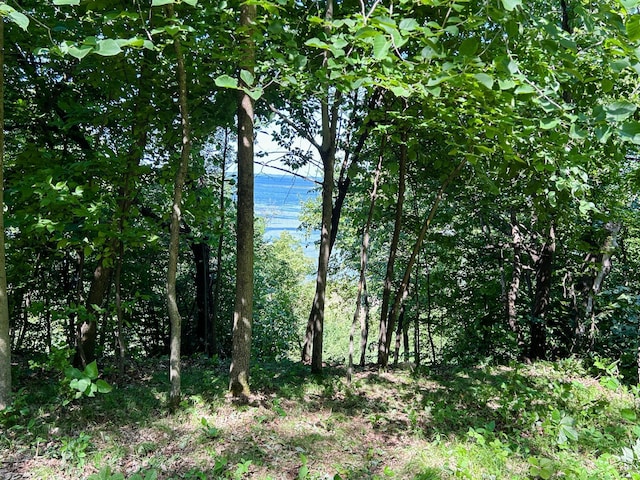 49137 360th St, Otto Twp, MN 56567 - photo 3