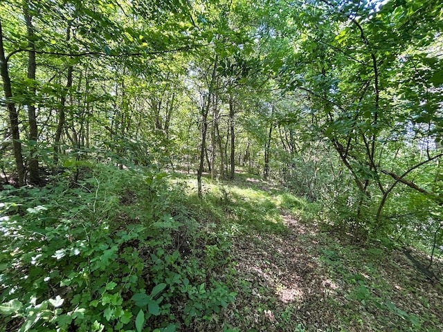 49137 360th St, Otto Twp, MN 56567 - photo 8