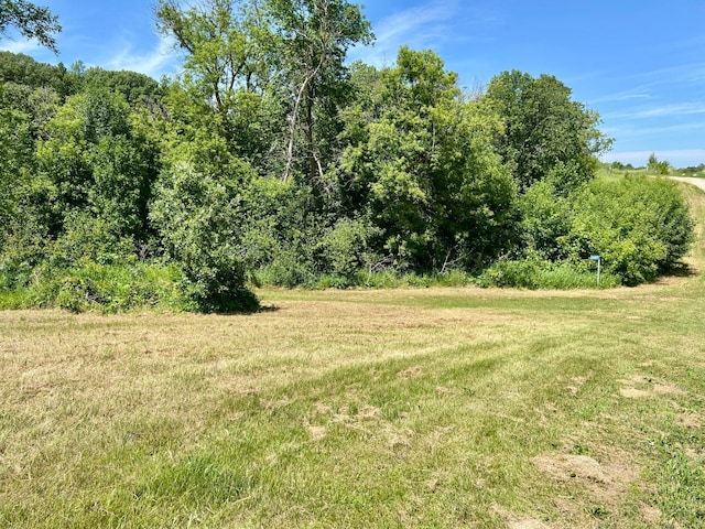 49137 360th St, Otto Twp, MN 56567 - photo 9