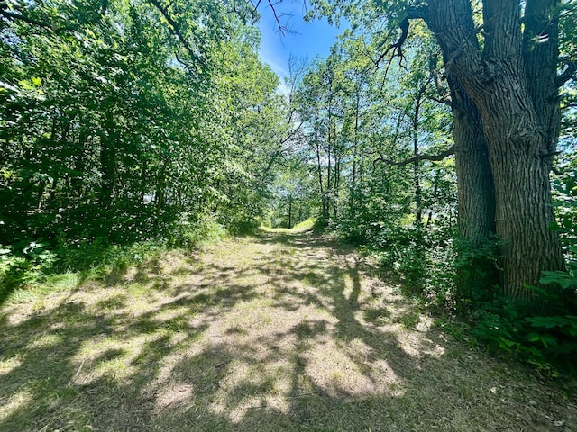 49137 360th St, Otto Twp, MN 56567 - photo 10