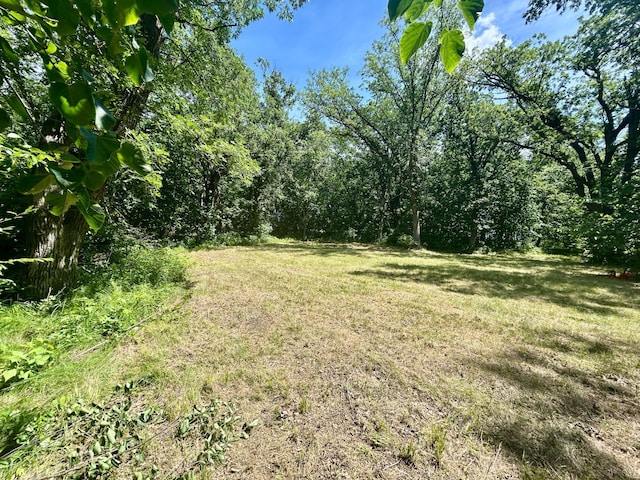 49137 360th St, Otto Twp, MN 56567 - photo 11