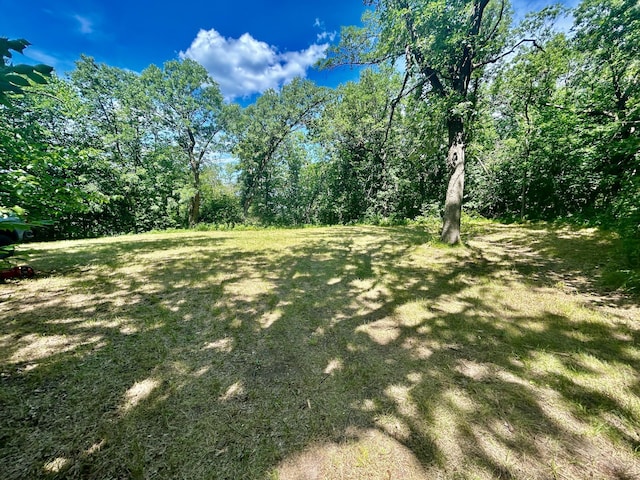 49137 360th St, Otto Twp, MN 56567 - photo 12
