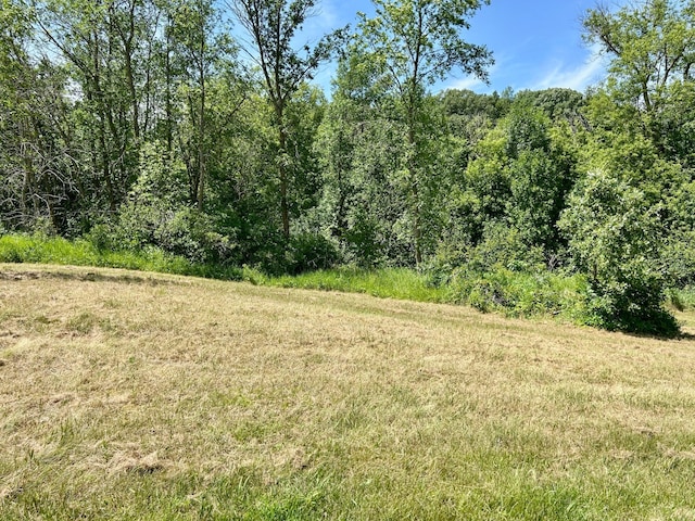 49137 360th St, Otto Twp, MN 56567 - photo 13