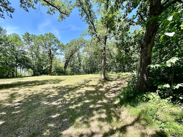 49137 360th St, Otto Twp, MN 56567 - photo 14