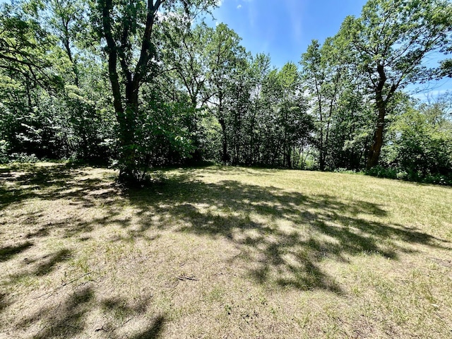 49137 360th St, Otto Twp, MN 56567 - photo 15