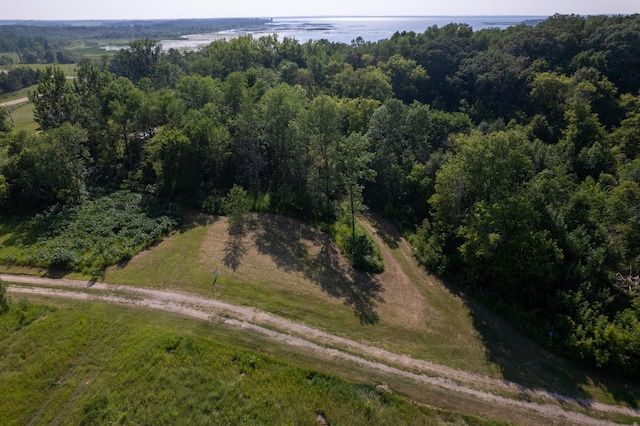 49137 360th St, Otto Twp, MN 56567 - photo 19