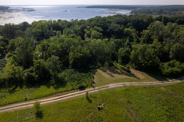 49137 360th St, Otto Twp, MN 56567 - photo 20