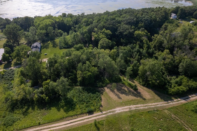49137 360th St, Otto Twp, MN 56567 - photo 21
