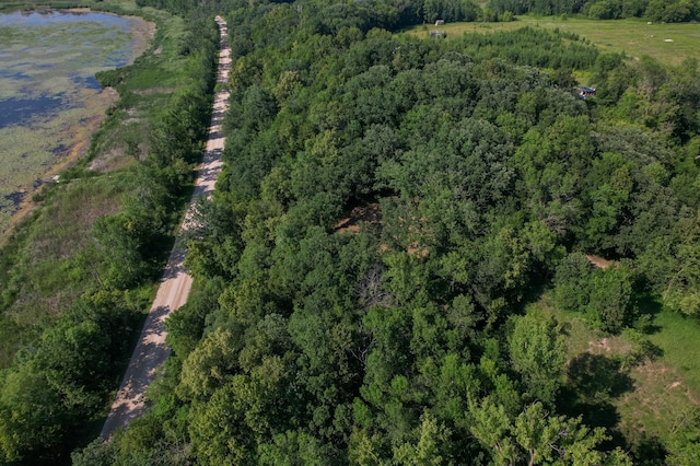 49137 360th St, Otto Twp, MN 56567 - photo 22