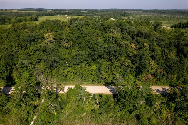 49137 360th St, Otto Twp, MN 56567 - photo 27
