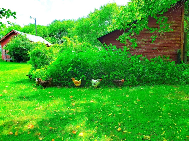 E2044 770th Ave, Stanton Twp, WI 54749 - photo 10