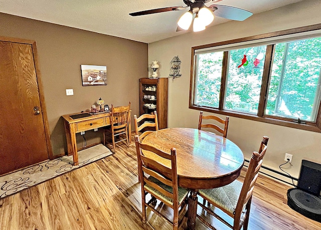 39631 342nd Ln, Aitkin, MN 56431 - dining area with ceiling fan, light wood finished floors, and a baseboard radiator