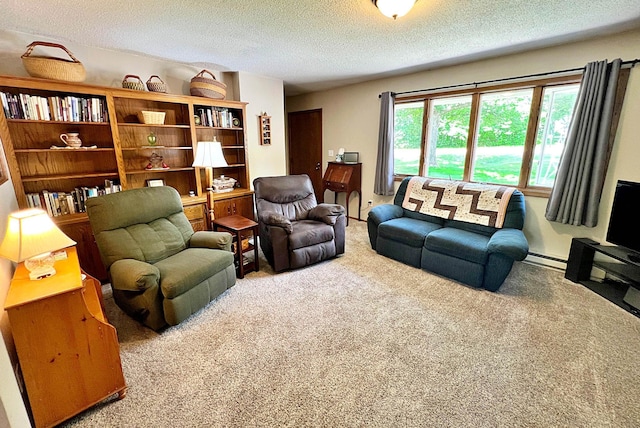 39631 342nd Ln, Aitkin, MN 56431 - living area featuring carpet flooring, a textured ceiling, and a baseboard heating unit