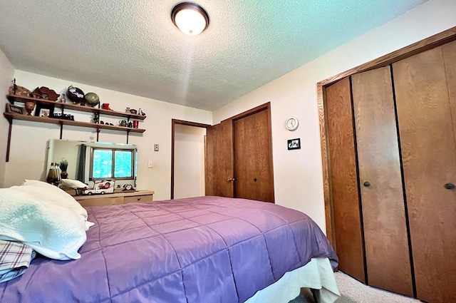 39631 342nd Ln, Aitkin, MN 56431 - carpeted bedroom with a textured ceiling and two closets