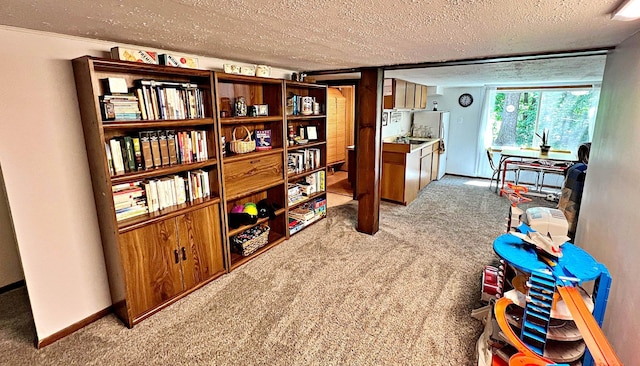 39631 342nd Ln, Aitkin, MN 56431 - office space with light carpet and a textured ceiling