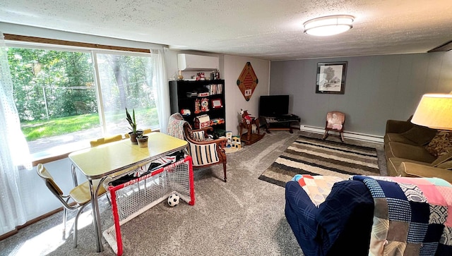 39631 342nd Ln, Aitkin, MN 56431 - living room featuring a textured ceiling, carpet floors, a wall unit AC, and a baseboard radiator