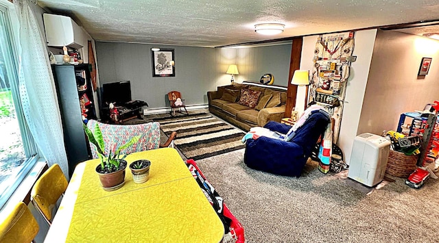 39631 342nd Ln, Aitkin, MN 56431 - carpeted living room featuring a textured ceiling and an AC wall unit