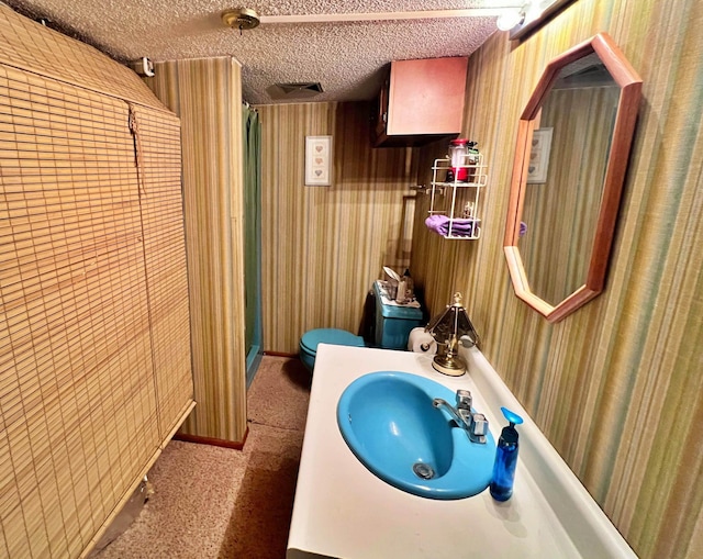 39631 342nd Ln, Aitkin, MN 56431 - full bath featuring a shower with curtain, a textured ceiling, vanity, and wallpapered walls
