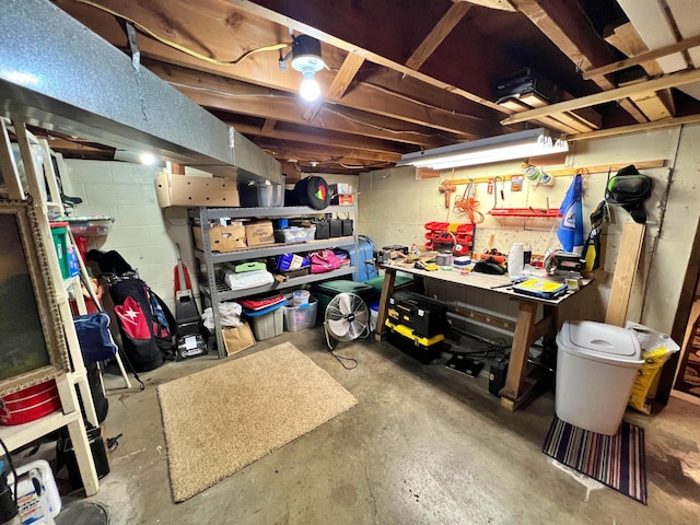 39631 342nd Ln, Aitkin, MN 56431 - unfinished basement with a workshop area