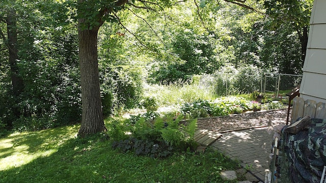 39631 342nd Ln, Aitkin, MN 56431 - view of yard