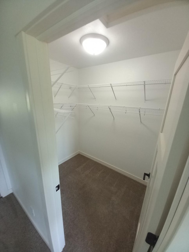 1267 146th Ave, New Richmond, WI 54017 - walk in closet with dark carpet