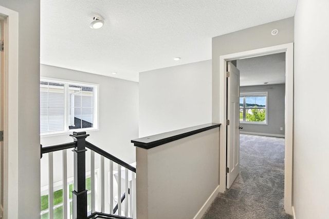 6450 Inspire Cir S, Cottage Grove, MN 55016 - hall with dark colored carpet and an upstairs landing